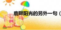 鹿畔陽光的另外一句(鹿畔陽光)