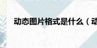 動態圖片格式是什么(動態圖片格式)