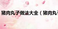 豬肉丸子做法大全(豬肉丸子的家常做法子)