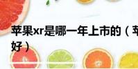 蘋果xr是哪一年上市的(蘋果xr和蘋果x哪個好)