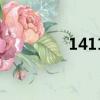 1411克是多少斤（1411）