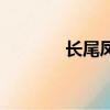 長尾鳳鯉魚圖片（長尾鯪鯉）