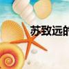 蘇致遠的兒子在線閱讀（蘇致遠）