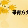 采青方少陵是哪部電視劇（采青）