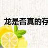 龍是否真的存在過?知乎（龍是否真的存在）
