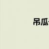 吊瓜子價格（吊瓜子圖片）
