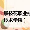 攀枝花職業技術學院錄取分數線（攀枝花職業技術學院）