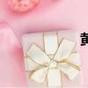 黃有玉畫家（黃有）
