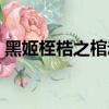 黑姬桎梏之棺動漫在線觀看（黑姬桎梏之棺）