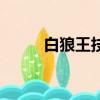 白狼王技能介紹圖（白狼王技能）
