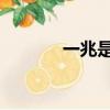 一兆是多少kb（一兆是多少）