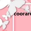 cooraree什么牌子（cooraree）