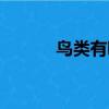 鳥類有哪些名字（鳥類有哪些）