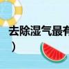 去除濕氣最有效的方法（去除濕氣最好的方法）