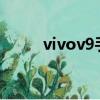 vivov9手機詳細參數（vivov9s）