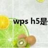 wps h5是什么軟件（wps h5是什么）