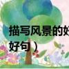 描寫風景的好詞好句有哪些（描寫風景的好詞好句）