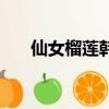 仙女榴蓮韓劇（榴蓮不能與什么同吃）