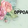 0PP0A77t多少錢（0pp0a77）