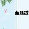 藍絲絨電影迅雷下載（藍絲絨）