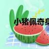 小豬佩奇身上紋圖片（小豬佩奇身上）