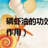 磷蝦油的功效與作用及禁忌（磷蝦油的功效與作用）