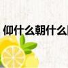 仰什么朝什么四字成語（仰什么朝什么成語）