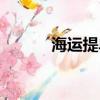 海運提單質押融資（海運提單）