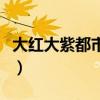 大紅大紫都市之最強狂兵最新章節（大紅大紫）
