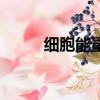 細胞能量液銷講稿（細胞能量液）