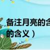 備注月亮的含義是什么意思（備注十一至十七的含義）