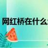 網紅橋在什么地方附近（網紅橋在什么地方）