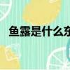 魚露是什么東西怎么吃（魚露是什么東西）