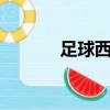 足球西曼（希曼 比利時 足球）