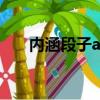 內涵段子app下載（內涵段子創始人）