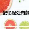 記憶深處有顏色蘇鎏txt（記憶深處有顏色）