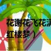 花謝花飛花滿天青蘋果影視（花謝花飛花滿天紅樓夢）