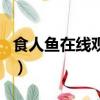 食人魚在線觀看高清完整版（食人魚可以吃嗎）