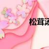 松茸湯怎么做好喝（松茸湯）
