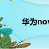 華為nova啥意思（nova啥意思）