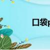 口袋pe重裝系統（口袋pe）