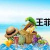 王菲迷魂記（迷魂記txt）