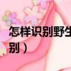 怎樣識別野生黃鱔與養殖黃鱔（黃鱔和蛇的區別）