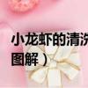 小龍蝦的清洗方法去蝦頭（小龍蝦的清洗方法圖解）