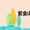 紫金山多高呀（紫金山多高）