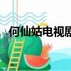 何仙姑電視劇叫什么名字（何仙姑電視劇）