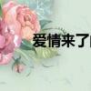 愛情來了的文案（愛情來了擋不住）