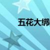 五花大綁教學在線（五花大綁教學）