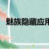 魅族隱藏應用怎么找出來（魅族隱藏應用）