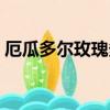 厄瓜多爾玫瑰多少錢一朵（玫瑰多少錢一朵）